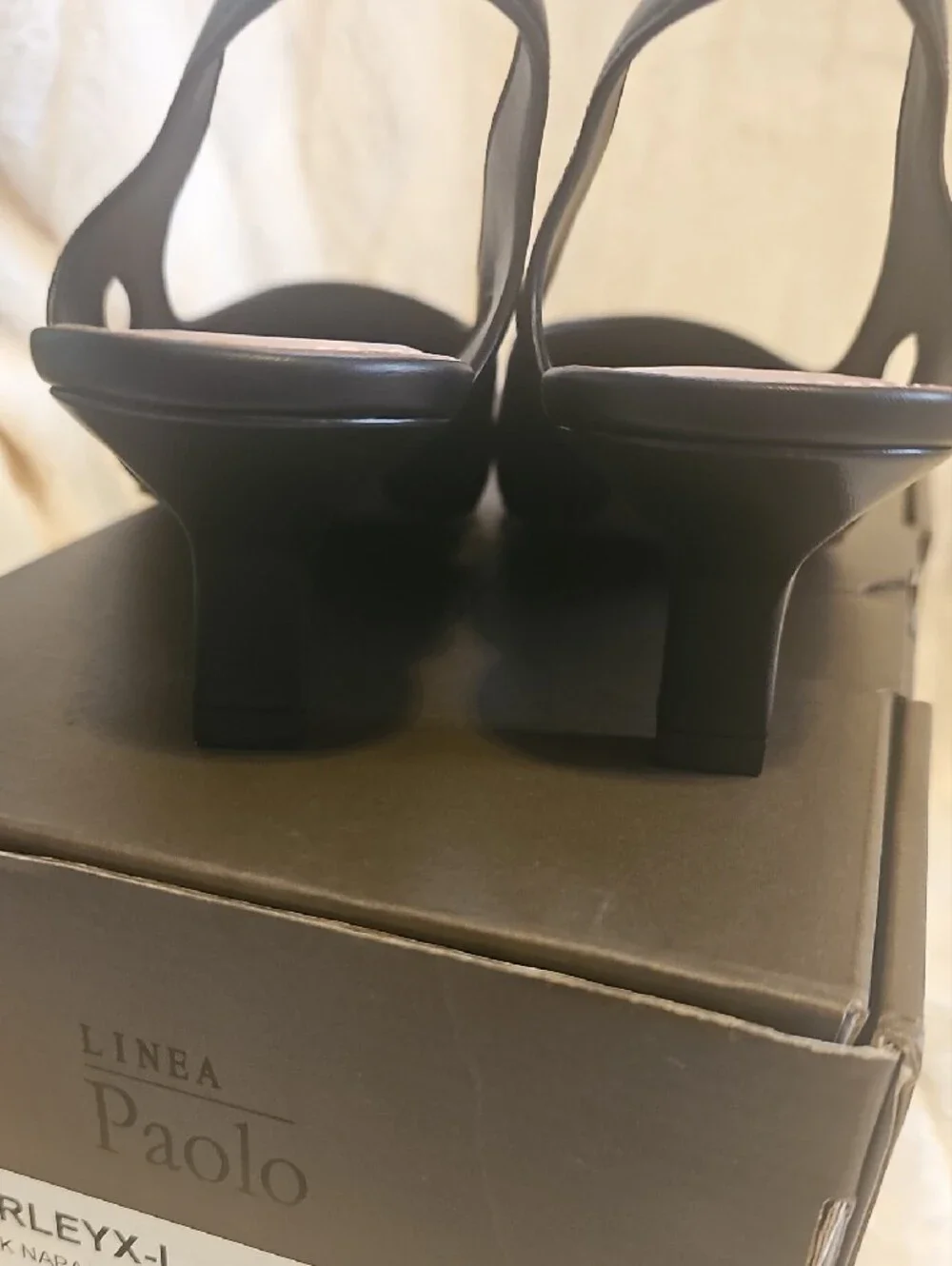 Paolo Black Pointed Slingback Kitten Heels